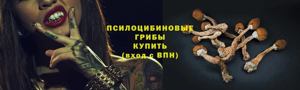 метамфетамин Каменка