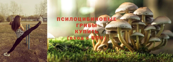 метамфетамин Каменка