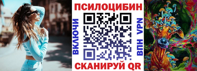 Купить  Микунь  Галлюциногенные грибы Psilocybine cubensis 
