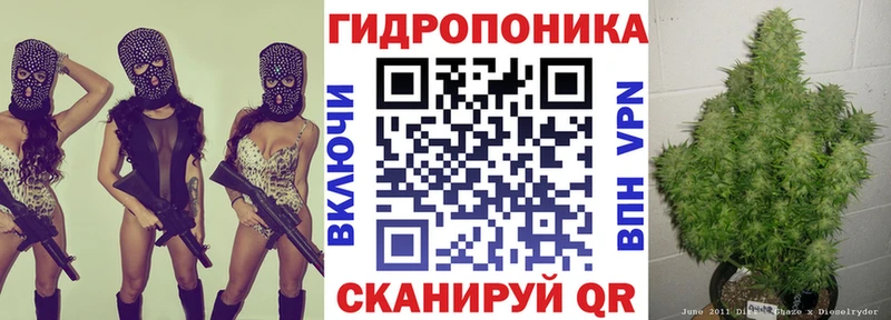 Купить где  Микунь  МАРИХУАНА план 